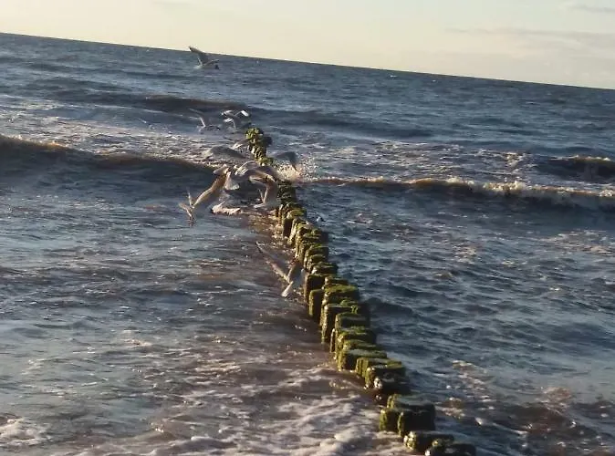 Limonkowy Podczele Kolobrzeg