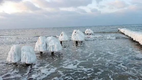 Limonkowy Podczele Apartment *